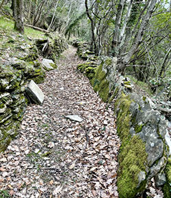 Alternative path to Montallegro (historical route as far as Mount Anchetta)