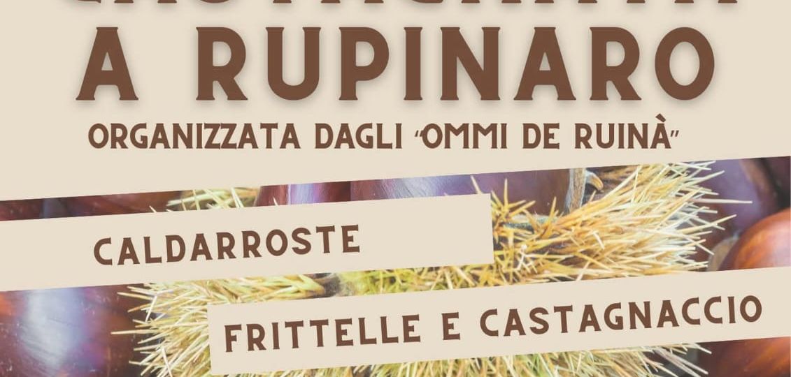 WhatsApp Image 2025-10-31 at 13.21.02